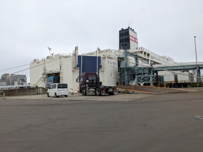 ���M�t�F���[�^�[�~�i��