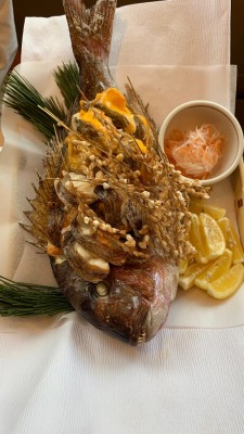 ���s�͌����w���ӂ̋�����--���Z�g�@�l���͌����X