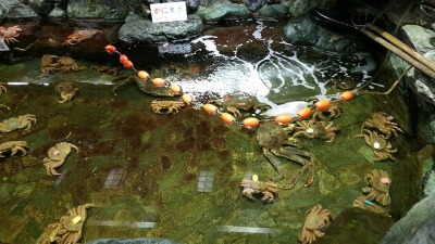 <札幌かに本家>外観 栄町駅のかに料理--札幌かに本家 栄中央店