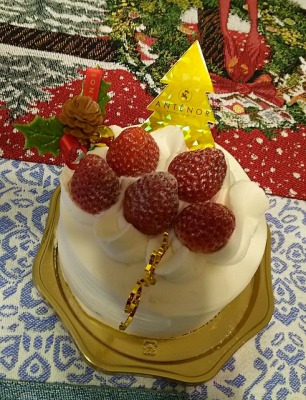 ���S�����i�V�_�j�w���ӂ̃P�[�L--�A���e�m�[���@������c���X