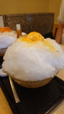 �ѓc���w���ӂ̊Ö���--�I�̑P