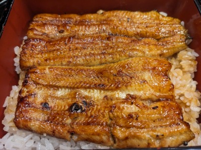 <うなぎ大黒屋>うな重 長谷駅周辺のうなぎ--うなぎ大黒屋 鎌倉常盤店