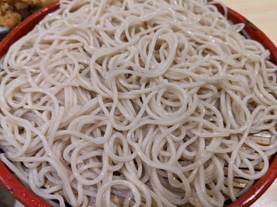 �������w���ӂ̂���--�p��
