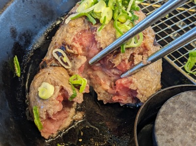 �X�y�[�X���[���h�w���ӂ̃n���o�[�O--�ɖ���@�����X