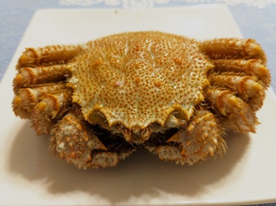 <二条市場>毛ガニ 大通駅周辺の海産物市場--二条市場