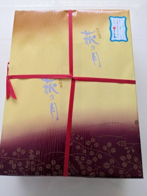 �����w���ӂ̘a�m�َq--�ُ��O�S�@�g���X