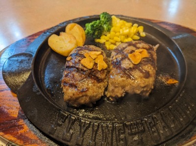 �t���C���O�K�[�f���@���ΐ����˓X