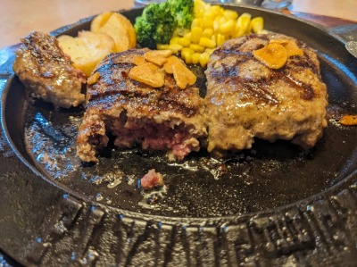 �����w���w���ӂ̃n���o�[�O--�t���C���O�K�[�f���@���ΐ����˓X