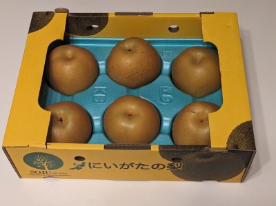 <コストコホールセール>実りの秋の果物 神領駅周辺の倉庫型販売店--コストコホールセール 守山倉庫店