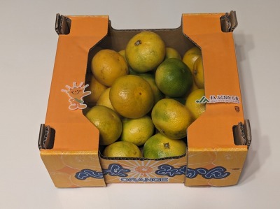 <コストコホールセール>実りの秋の果物 新三郷駅周辺の倉庫型販売店--コストコホールセール 新三郷倉庫店