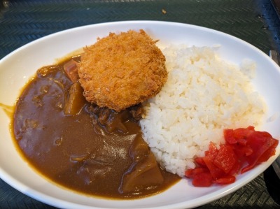 <はなまるうどん>カレーライス 松山市駅の讃岐うどん--はなまるうどん 松山銀天街店