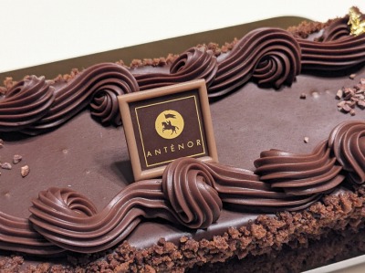 ��q�ʐ�w���ӂ̃P�[�L--�A���e�m�[���@��q�ʐ쓌�}�t�[�h�V���[�X