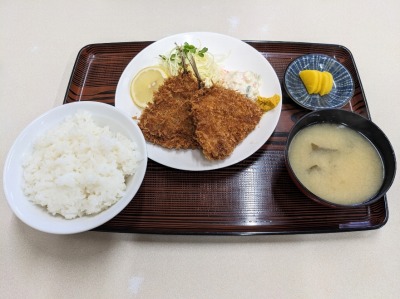 �Ǖl�w���ӂ̒�H--�l�H��