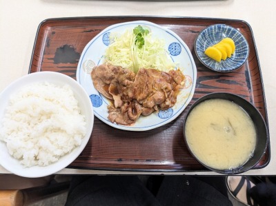 �Ǖl�w���ӂ̒�H--�l�H��