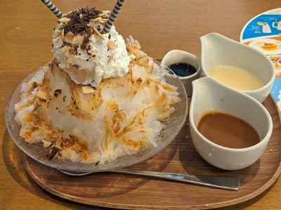 ���厛�w���ӂ̃t�@�~���X--�R�R�X�@���厛�X