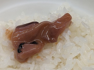 ������w���ӂ̓��g��--�����܁@���l������X