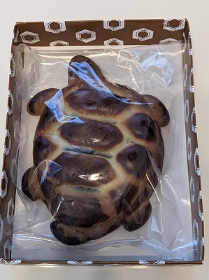 <かめや本店>亀まんじゅう 菊川駅周辺の和菓子--かめや本店