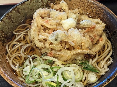 �������w���ӂ̗����H������--�����߂��@�������X