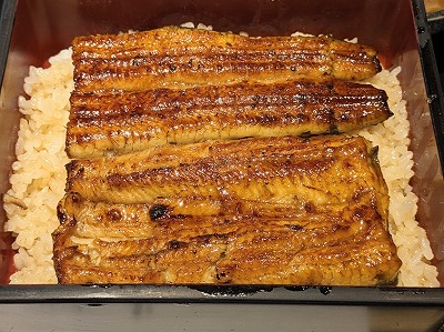 <うなぎ大黒屋>うな重(梅) 湘南深沢駅周辺のうなぎ--うなぎ大黒屋 鎌倉常盤店