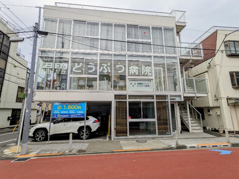 <自由ヶ丘動物病院>病院外観 九品仏駅周辺の動物病院--自由ヶ丘動物病院
