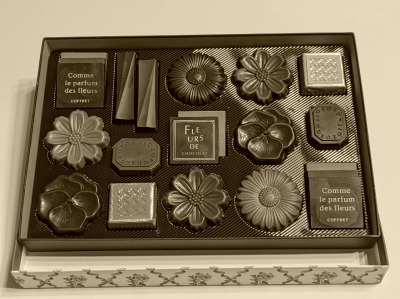 �����]�t�@���S��{�X