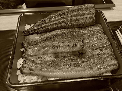 �V�̐����@�L���X