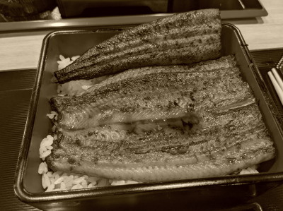 �V�̐����@�Γ�X