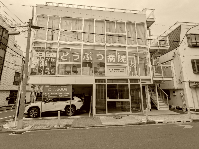 ���R���u�����a�@